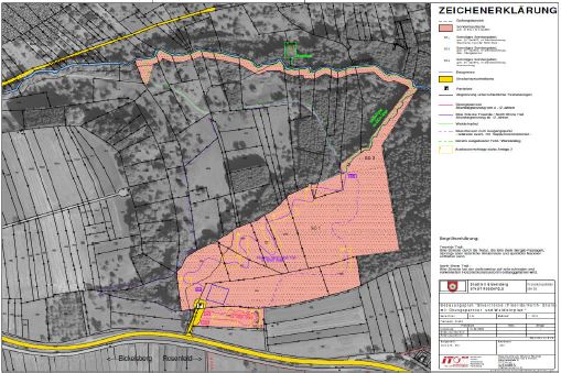 Bikestrecke (Freeride / North-Shore) mit Übungsparcours und Waldlehrpfad